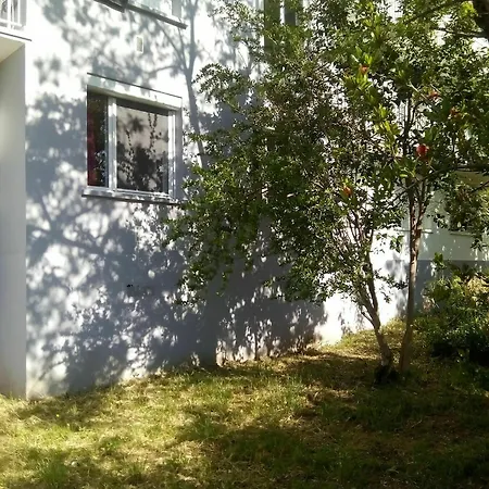 Grand Proche Transport Apartment *
